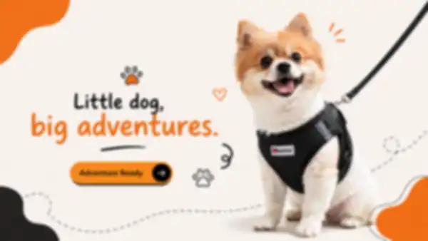 undefined__undefined