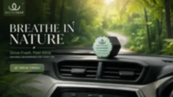 BANNER_undefined__undefined
