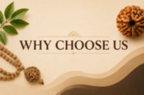 WHY_CHOOSE_US__undefined