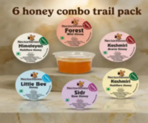 This_beautifully_presented_6_Honey_Combo_Trail_Pack_from_NectorHives_brings_together_a_curated_selection_of_premium,_natural_honeys_sourced_from_different_regions._At_the_center_is_a_rich,_golden_honey_sample,_surrounded_by_six_unique_variants—each_offering_its_own_distinct_flavor,_aroma,_and_health_benefits.__From_the_earthy_depth_of_Forest_Wild_Honey_to_the_delicate_sweetness_of_Kashmiri_Acacia_Honey,_and_the_rare_richness_of_Sidr_Raw_Honey,_this_combo_is_perfect_for_those_who_want_to_explore_variety_in_every_drop._The_pack_also_includes_Himalayan_Multiflora,_Little_Bee_Honey,_and_Kashmiri_Multiflora_Honey,_making_it_a_complete_tasting_experience.__undefined