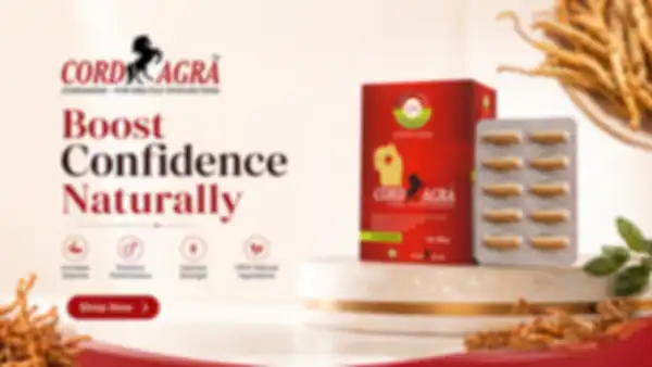 undefined__undefined