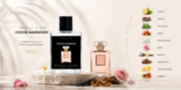 BANNER_undefined__undefined