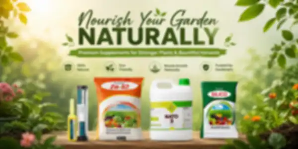 BANNER_undefined__undefined