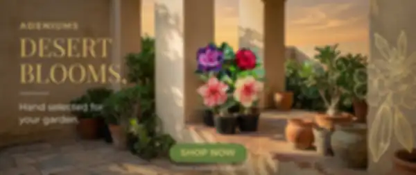 Hero_Banner_undefined__undefined