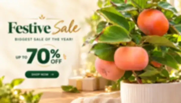 Hero_Banner_undefined__undefined