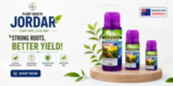 Trend_Banner_undefined__undefined
