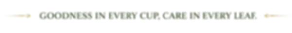 BANNER_undefined__undefined