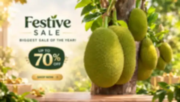 Hero_Banner_undefined__undefined