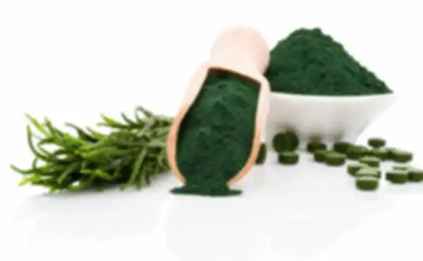 Our_Blog_Spirulina_to_Lower_Cholesterol:_How_This_Superfood_Supports_Heart_Health__undefined
