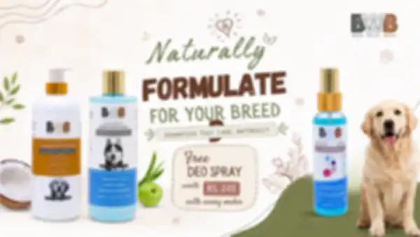 Hero_Banner_undefined__undefined