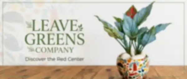 Hero_Banner_undefined__undefined