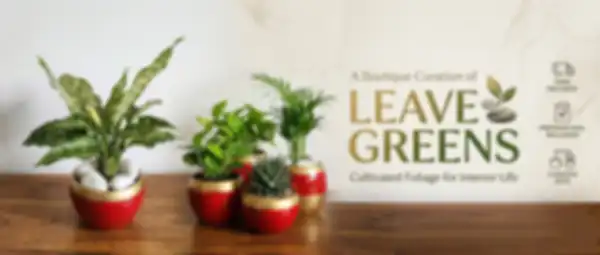 Hero_Banner_undefined__undefined