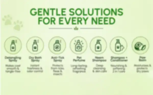 Trend_Banner_1_undefined__undefined