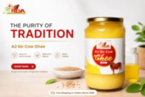Trend_Banner_undefined__undefined
