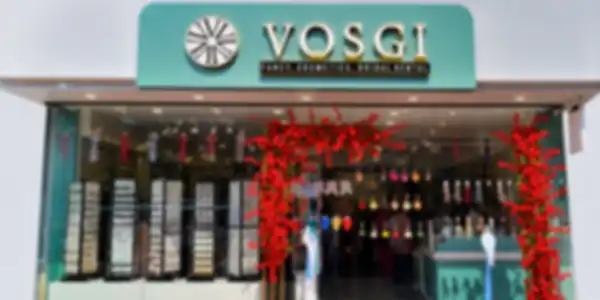 Content_and_Media_The_First_Chapter_of_Vosgi_Jewels__undefined