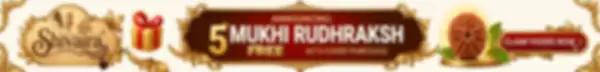 free_gift_undefined__undefined