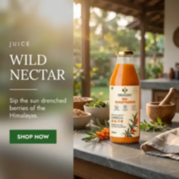 Hero_Banner_undefined__undefined