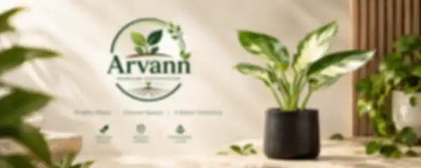 Hero_Banner_undefined__undefined