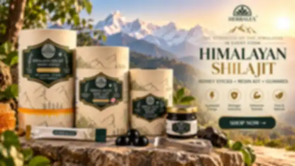 Trend_Banner_undefined__undefined