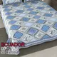Blue__Quilt N Razai 