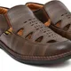 Brown__G L Trend