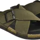 Olive__G L Trend