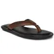 Tan__Buckaroo