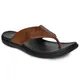 Tan__Buckaroo