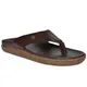 Brown__Buckaroo