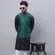Black and Green__SOJANYA