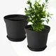 Charcoal__Eha.eco