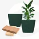 Fern__Eha.eco
