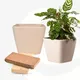 Sand Castle__Eha.eco