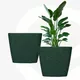 Fern__Eha.eco