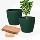 Fern__Eha.eco