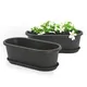 Charcoal__Eha.eco