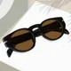 Brown__PETER JONES EYEWEAR