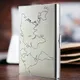 Silver__Amazeshoppers