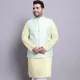 Yellow and Light Green__SOJANYA