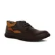Brown__Buckaroo