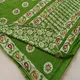 Green__Snazzy Style