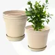 Sand Castle__Eha.eco
