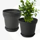 Charcoal__Eha.eco