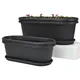 Charcoal Earth__Eha.eco