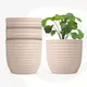 Sand Castle__Eha.eco
