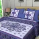 Blue__Quilt N Razai 
