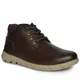 Brown__Buckaroo