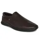 Brown__Buckaroo