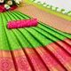 Parrot Rani__NARAYANPETSAREES