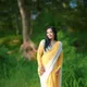 YELLOW__Urban Cultry
